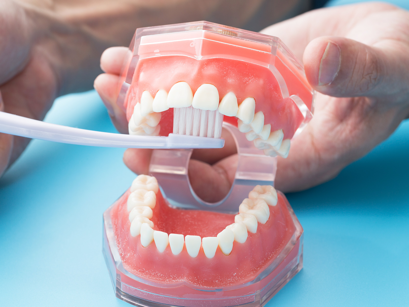 予防・クリーニング